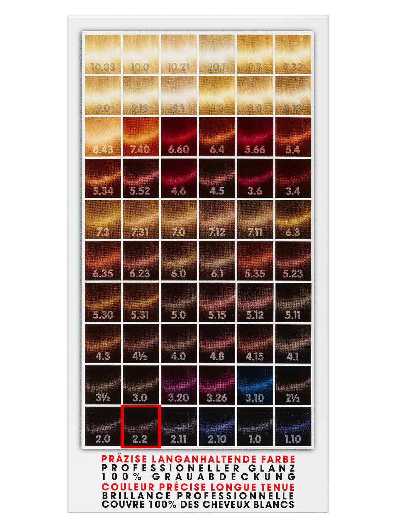 2-2-Perlmutt-Schwarzbraun-Dauerhafte-Haarfarbe-Color-Me-1Stk-Rueckseite-Garnier-Deutschland-gr